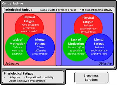 Role of Inflammation in Human Fatigue: Relevance of Multidimensional Assessments and Potential Neuronal Mechanisms